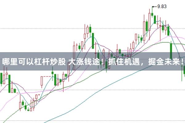 哪里可以杠杆炒股 大涨钱途！抓住机遇，掘金未来！