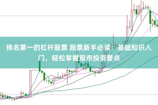 排名第一的杠杆股票 股票新手必读：基础知识入门，轻松掌握股市投资要点