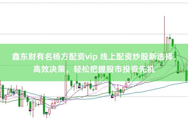 鑫东财有名杨方配资vip 线上配资炒股新选择，高效决策，轻松把握股市投资先机