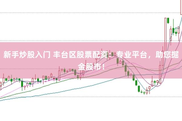 新手炒股入门 丰台区股票配资：专业平台，助您掘金股市！