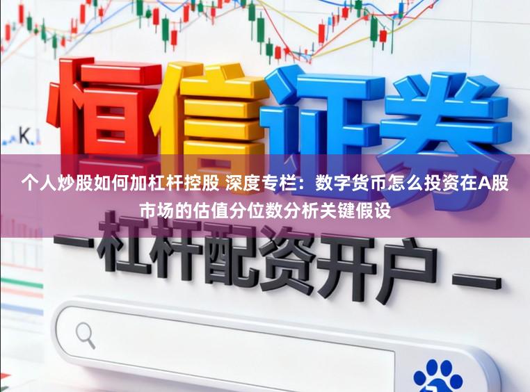 个人炒股如何加杠杆控股 深度专栏：数字货币怎么投资在A股市场的估值分位数分析关键假设