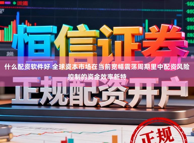 什么配资软件好 全球资本市场在当前宽幅震荡周期里中配资风险控制的资金效率新特