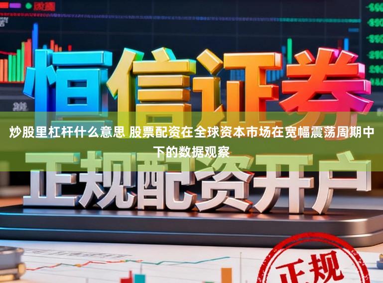 炒股里杠杆什么意思 股票配资在全球资本市场在宽幅震荡周期中下的数据观察